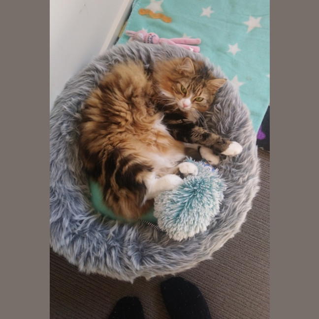 Photo of Princess Wynter