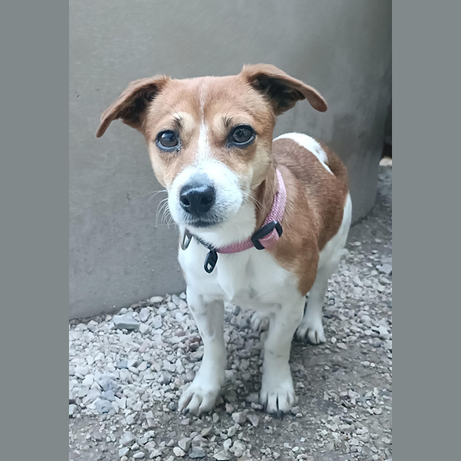 Photo of Betty