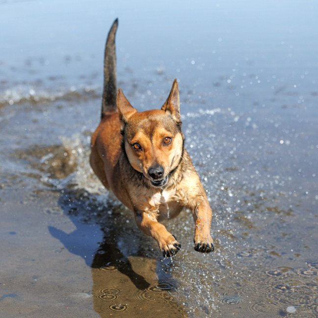 Photo of Milly Milly