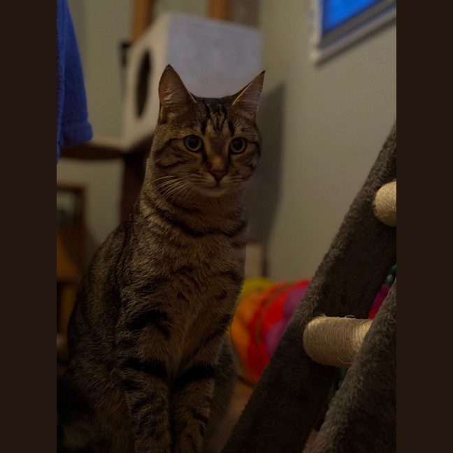 Photo of Charlie 