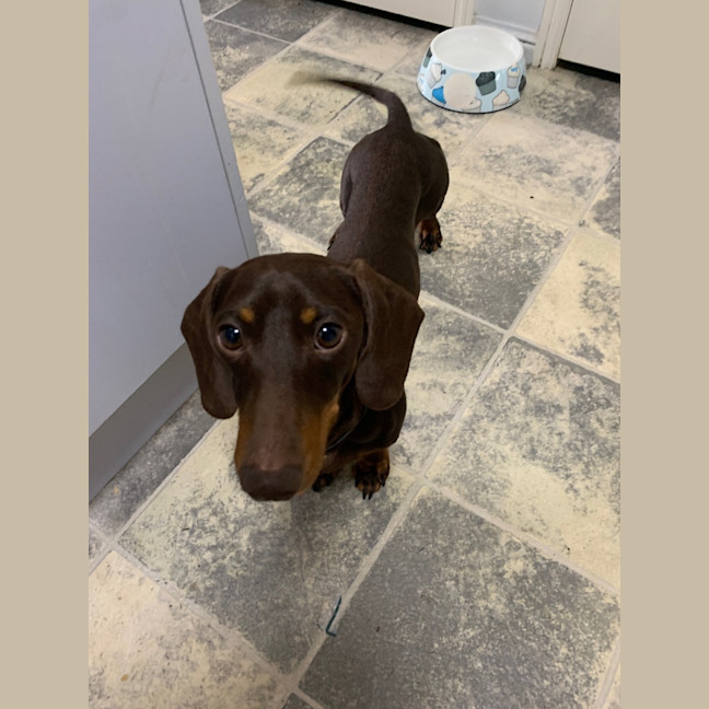 Photo of Norman And Nessa 