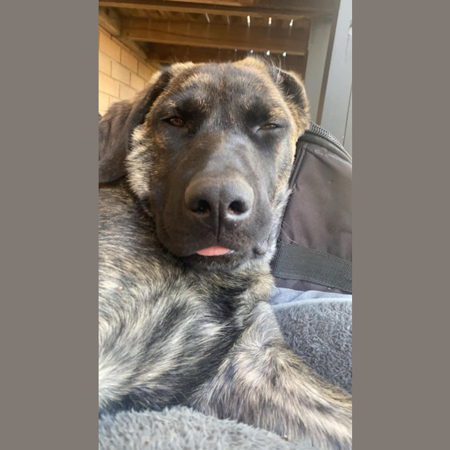 Photo of Whisky 🥃