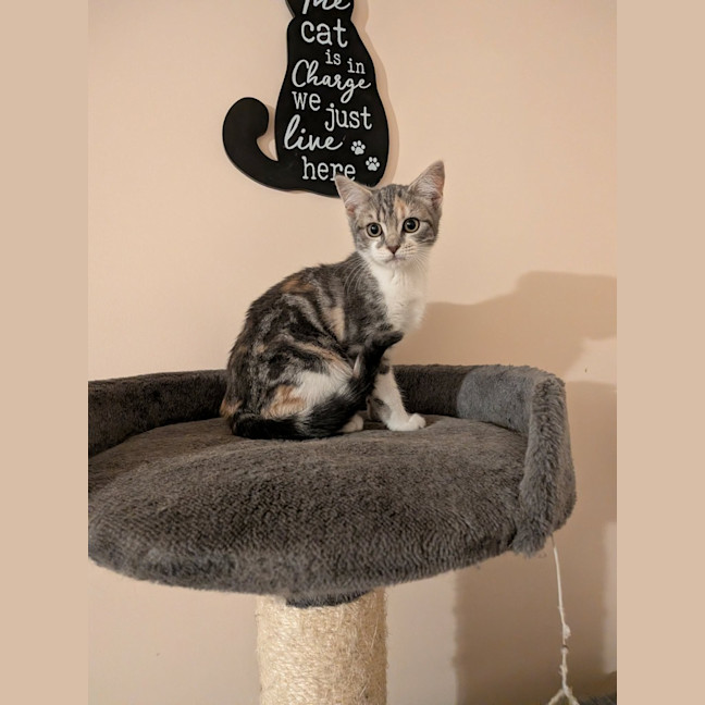 Photo of Mae