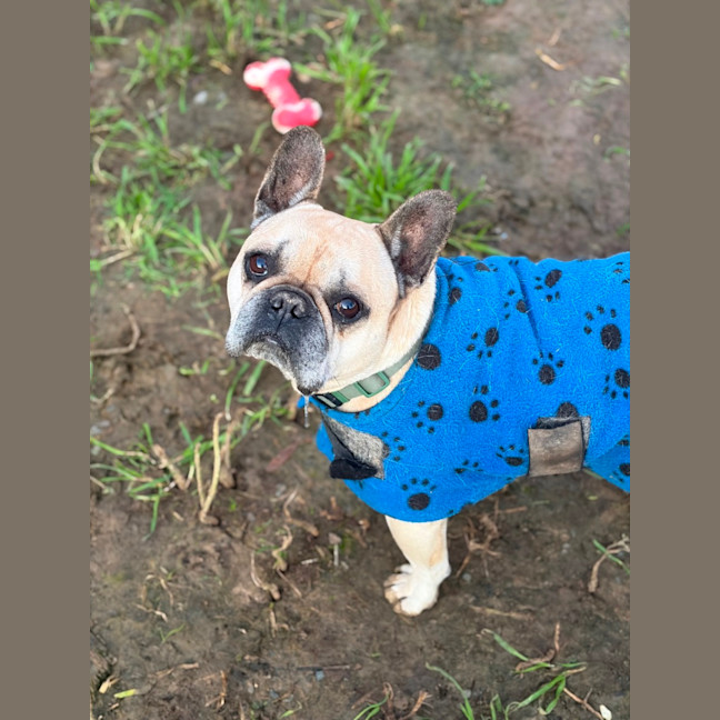 Photo of Gus