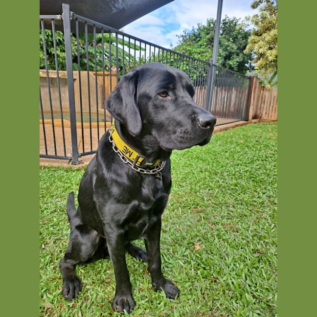 Photo of Paddy