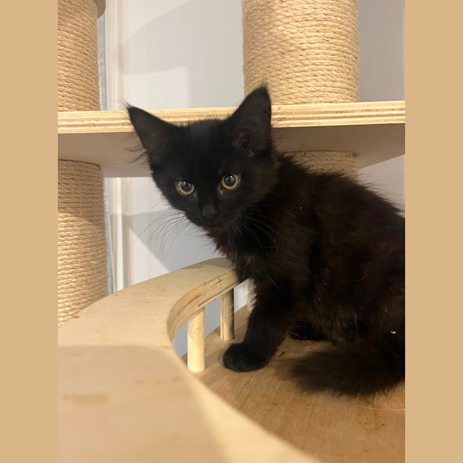 Photo of Turbo 