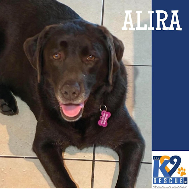 Photo of Alira