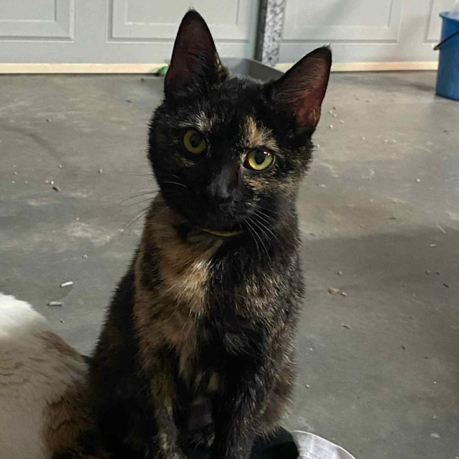 Photo of Kallie 🍃💕