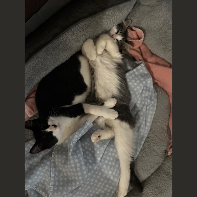 Photo of Bruce And Macey