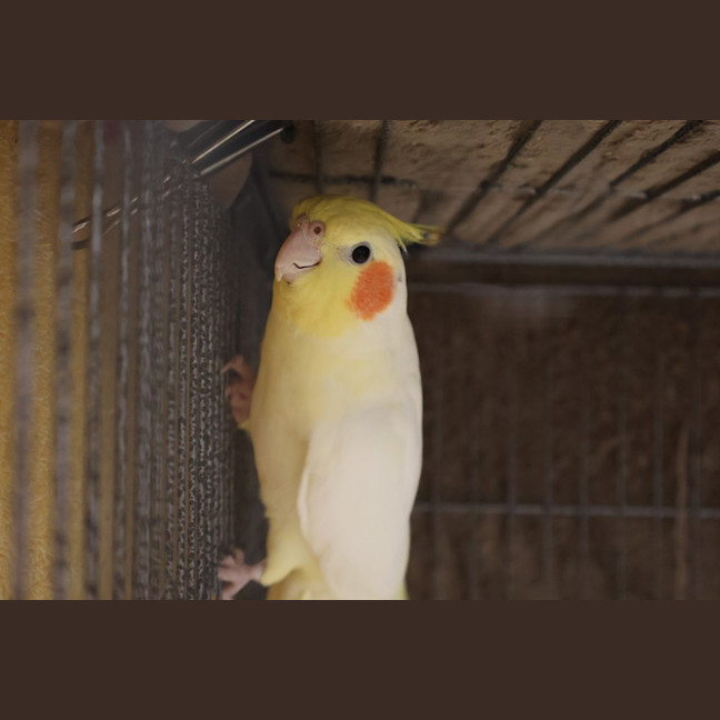 Photo of Mr. Beaks