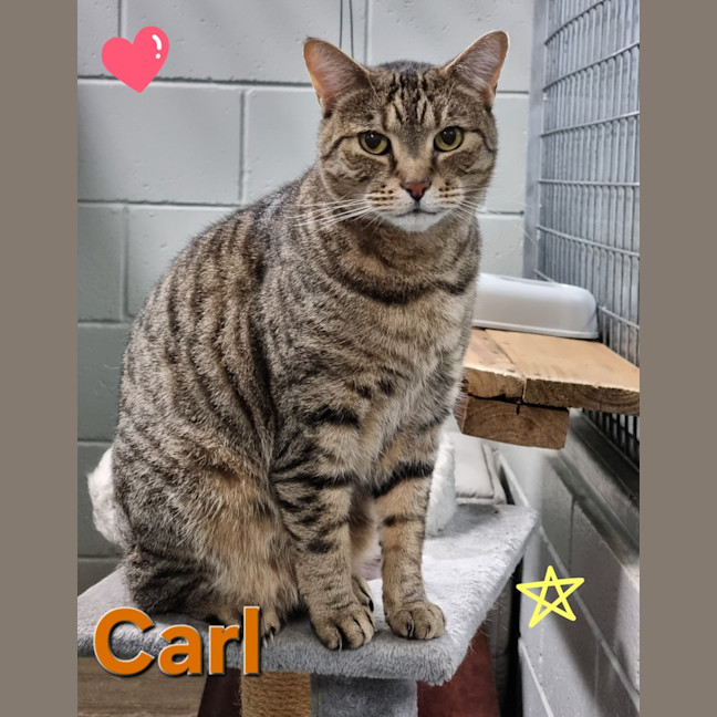 Photo of Carl