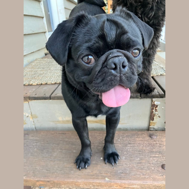 Photo of Milton 💗