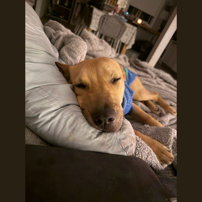 Photo of Winnie 