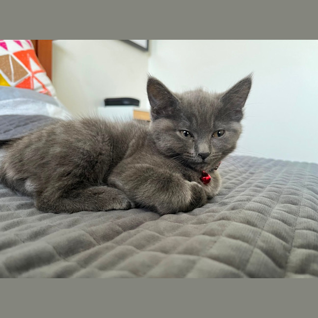 Photo of Lala