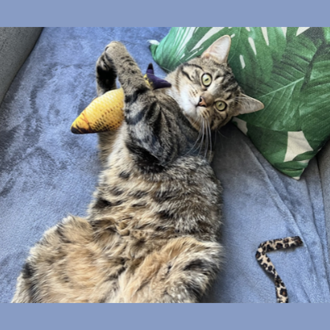 Photo of Max