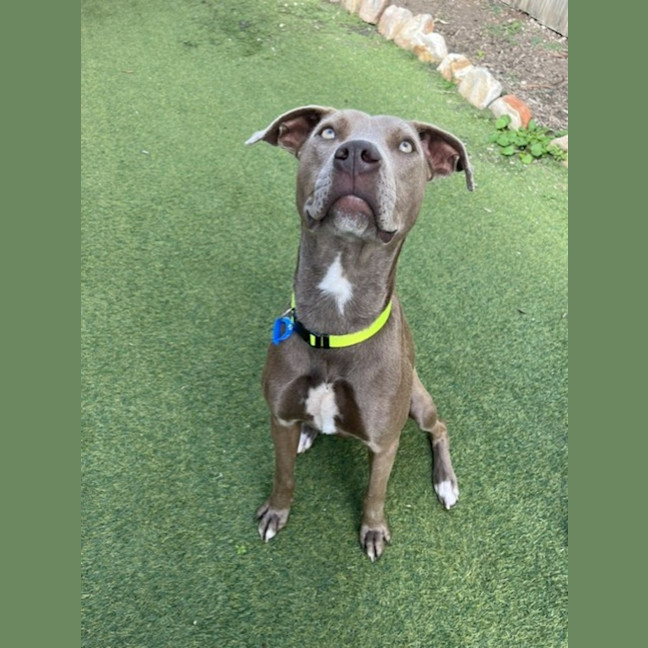 Photo of Pip
