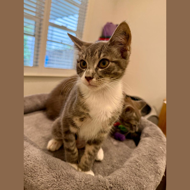 Photo of Bobbi
