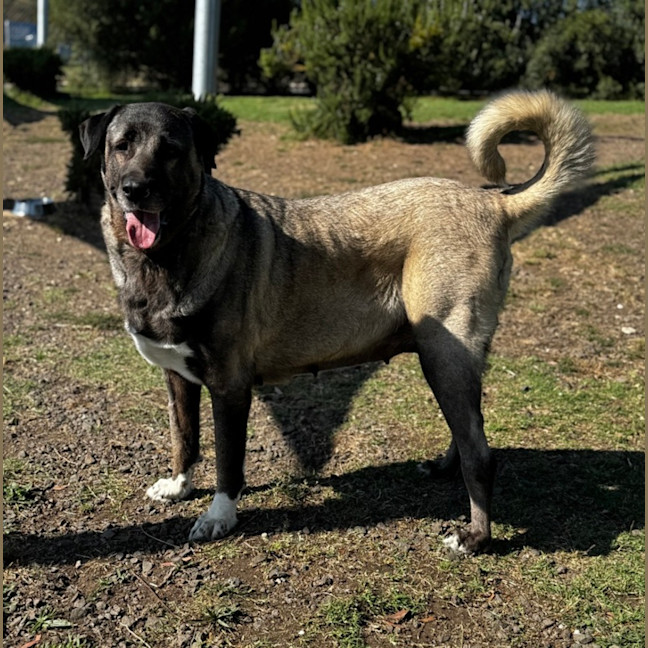 Photo of Lara (60413)