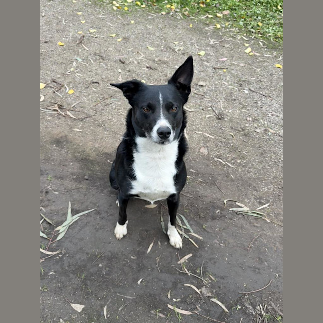 Photo of Maggie