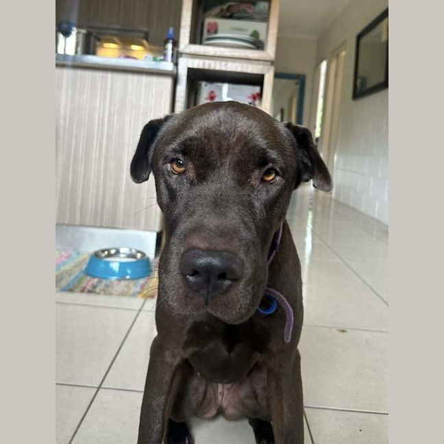 Photo of Sasha