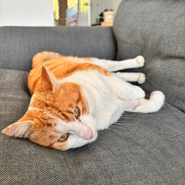 Photo of Big Red
