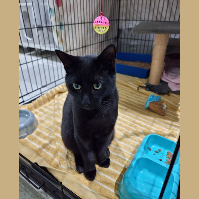 Photo of Vader