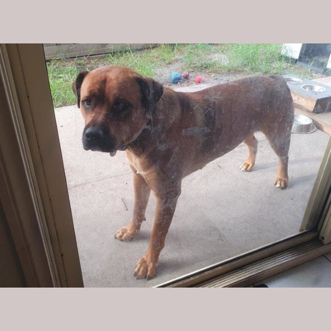 Photo of Skye Peggotty