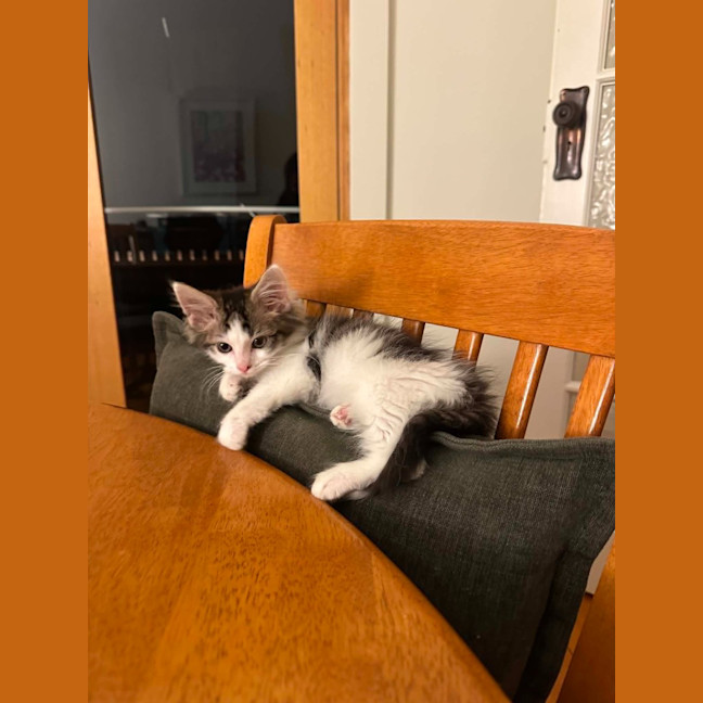 Photo of Hendrix