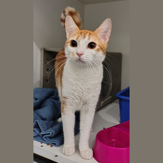 Photo of Calvin