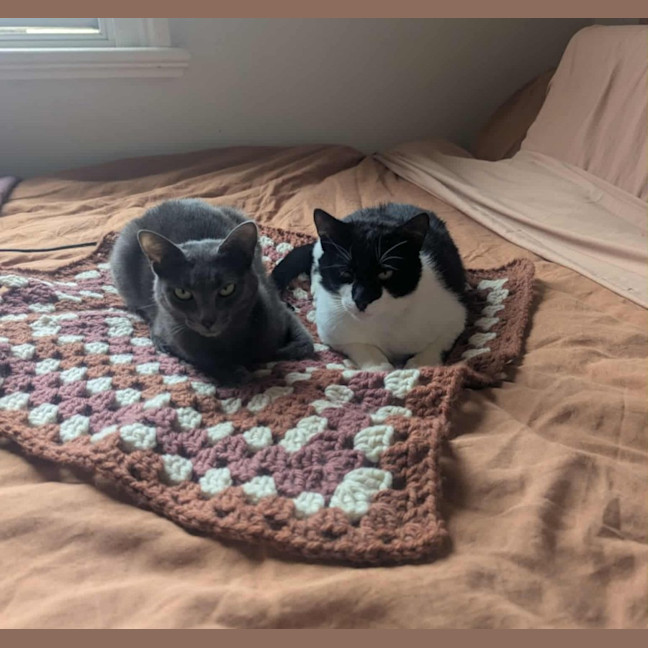 Photo of Aero + Kit Kat 