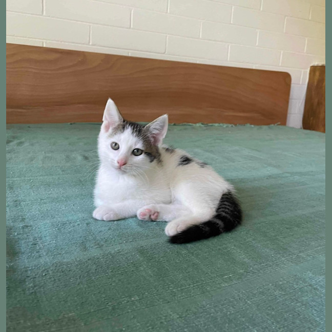 Photo of Ralph ❤️