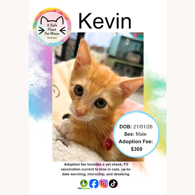 Photo of Kevin