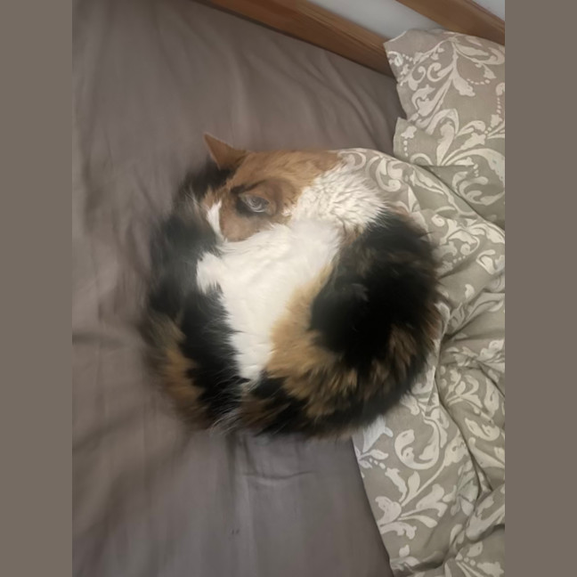 Photo of Miss Sassy Pants