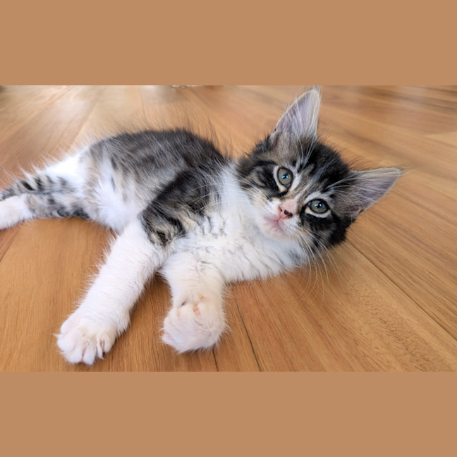 Photo of Molly