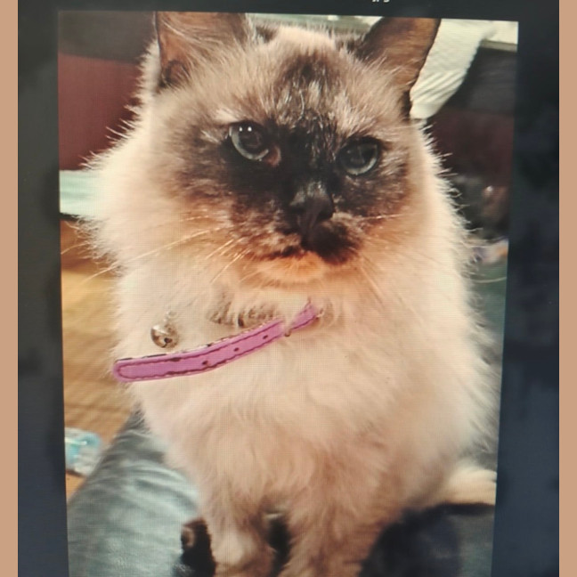 Photo of Millie