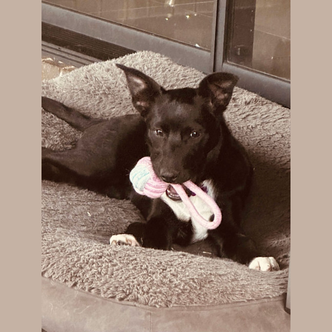 Photo of Molly