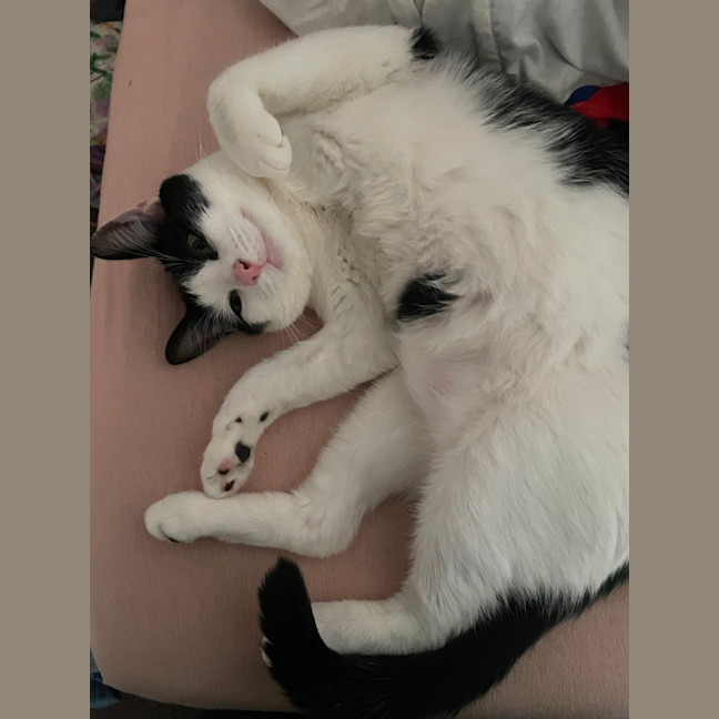 Photo of Tom