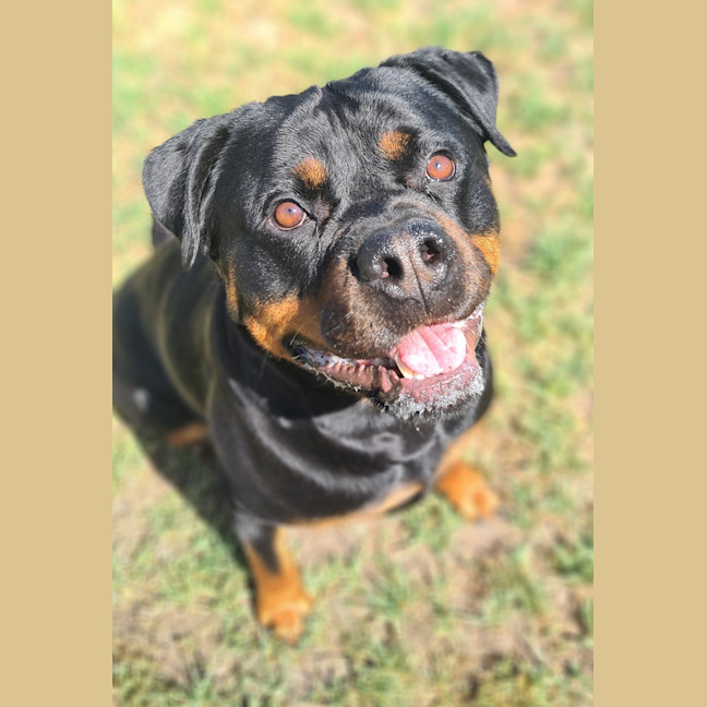 Photo of Cleo