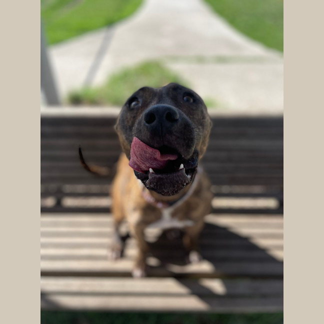 Photo of Mollie