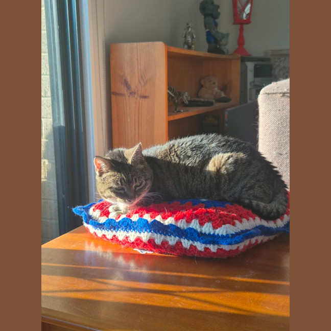 Photo of Kit Kat
