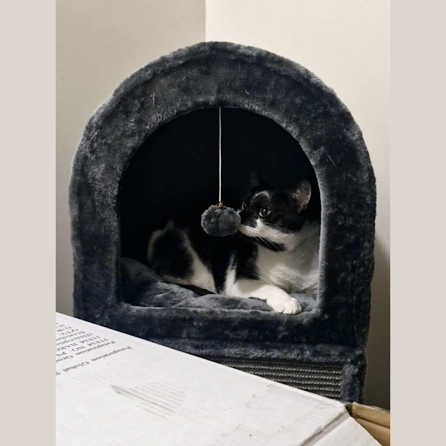 Photo of Benny