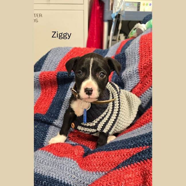 Photo of The Magnificent Seven!