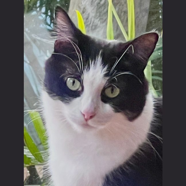 Photo of Suzie