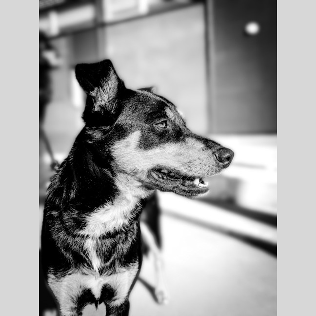 Photo of Isla 