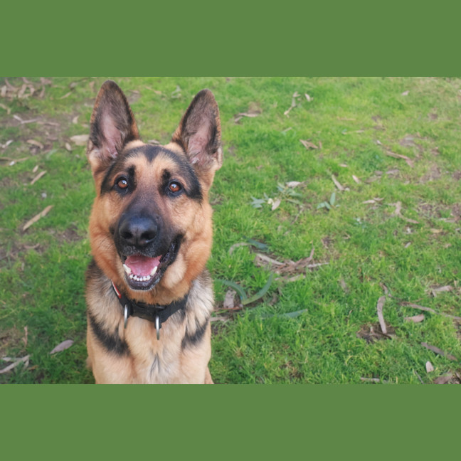 Photo of Max