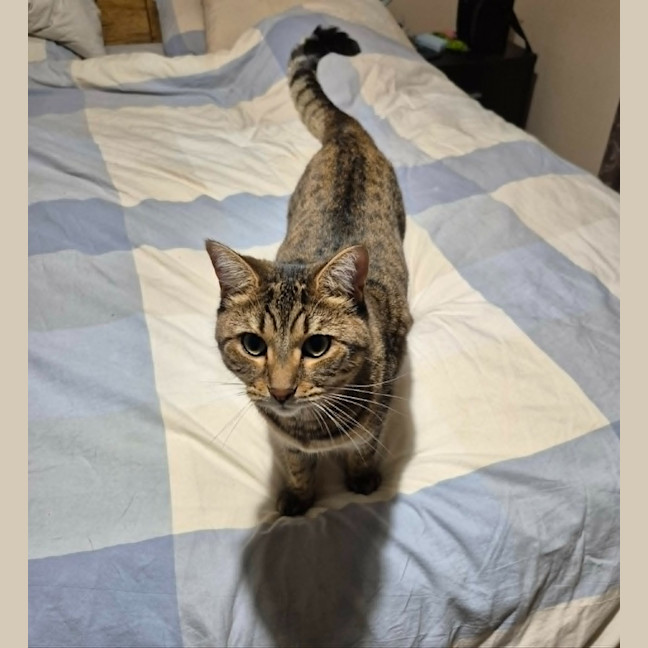 Photo of Rosie