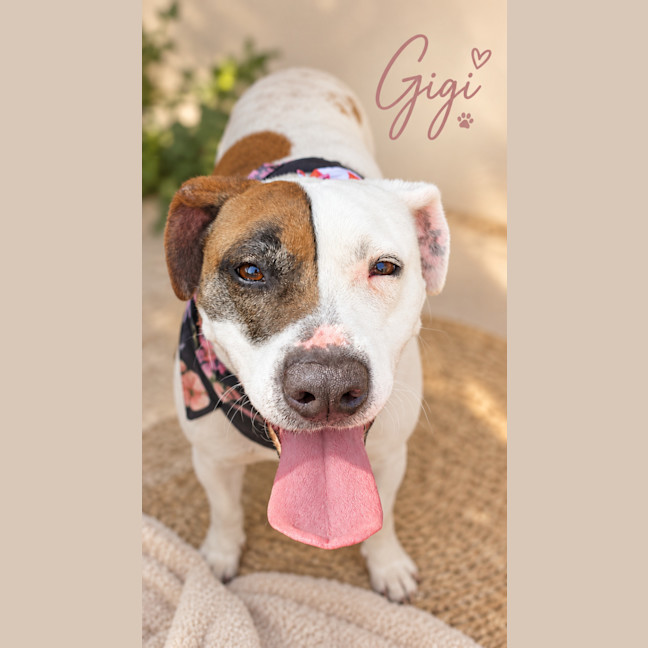 Photo of Gigi