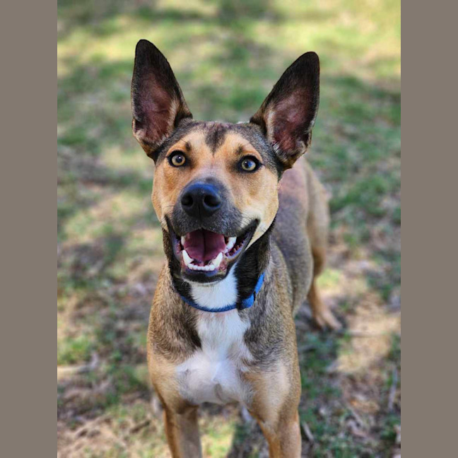 Photo of ⚽ Seamus 5707 ⚽