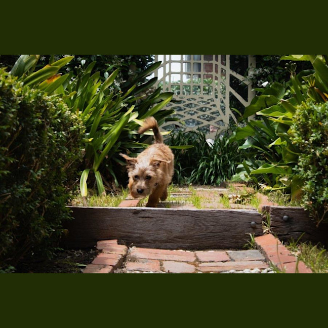 Photo of Albie Valenti