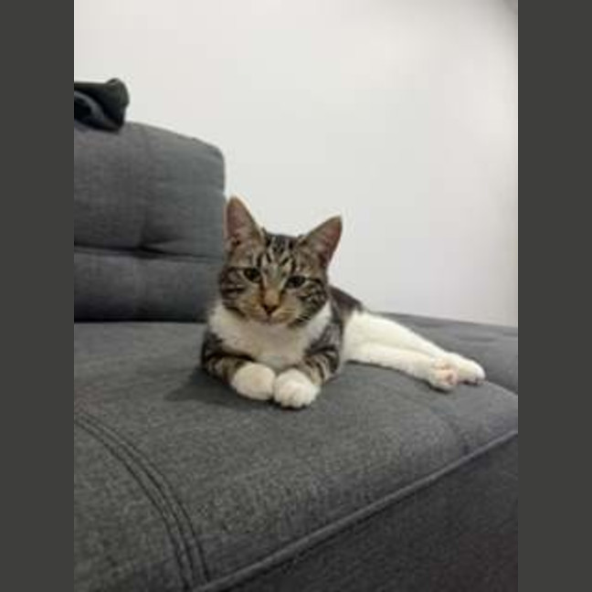 Photo of Felicity